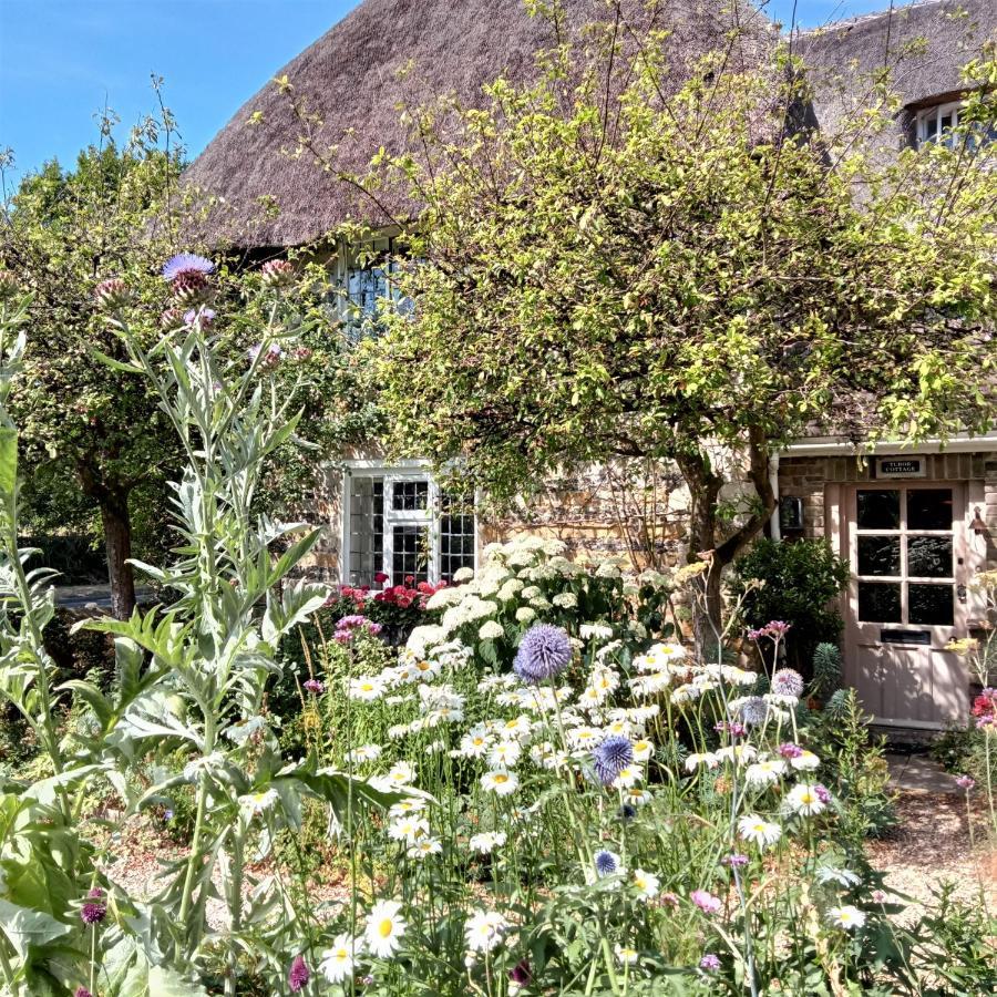 Tudor Cottage B&B Frampton Dorchester Eksteriør bilde