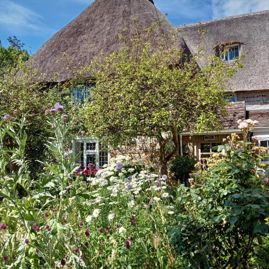 Tudor Cottage B&B Frampton Dorchester Eksteriør bilde